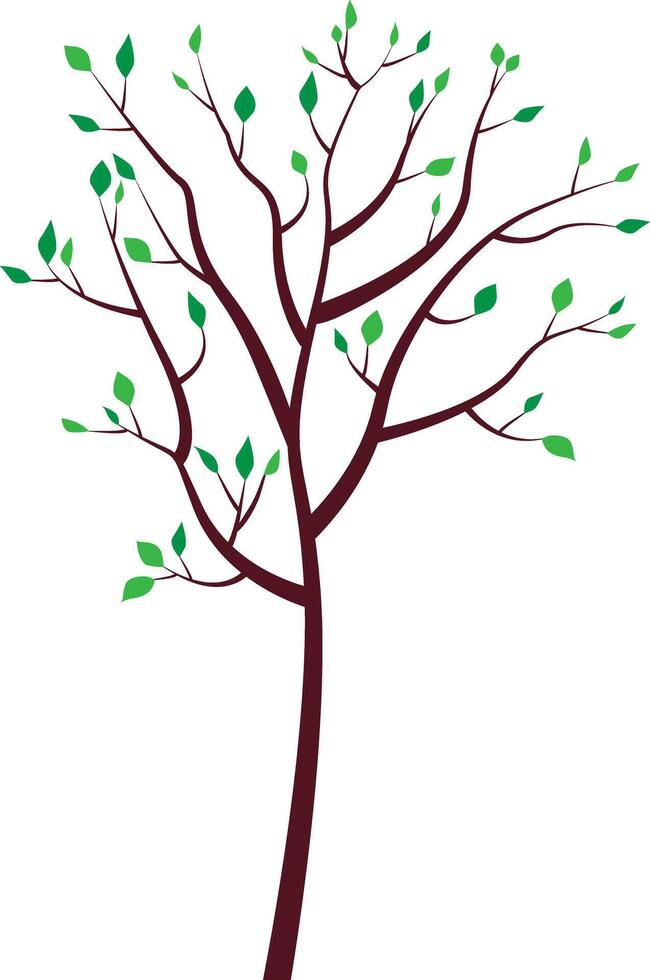 A tree with green leaves. Summer. vector