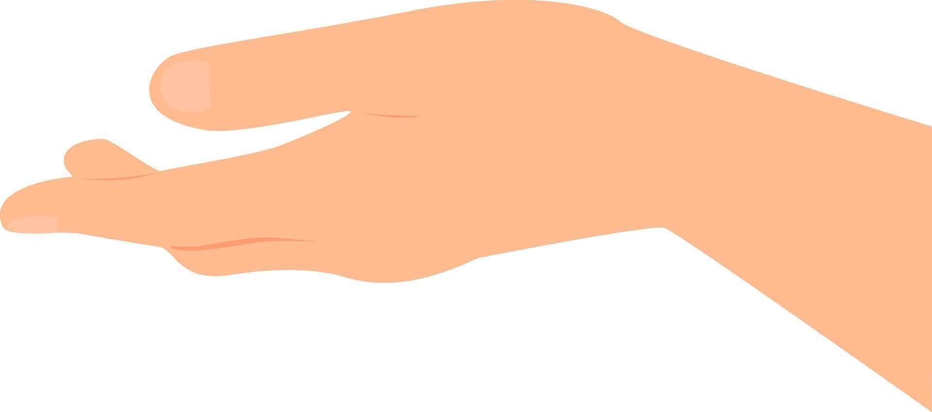 An outstretched hand with palm up gesture illustration. vector