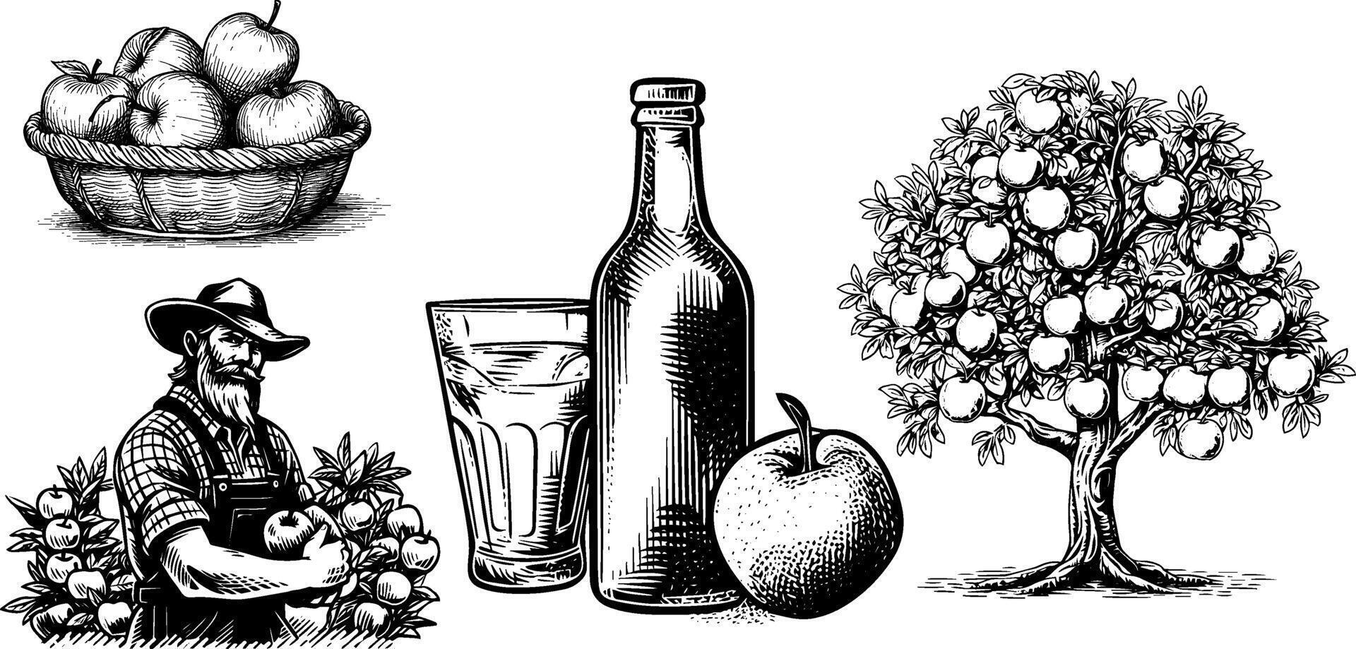 Vintage sketch of a farmer and woman harvesting apples from a tree. Illustration of cider production in a rural garden. vector