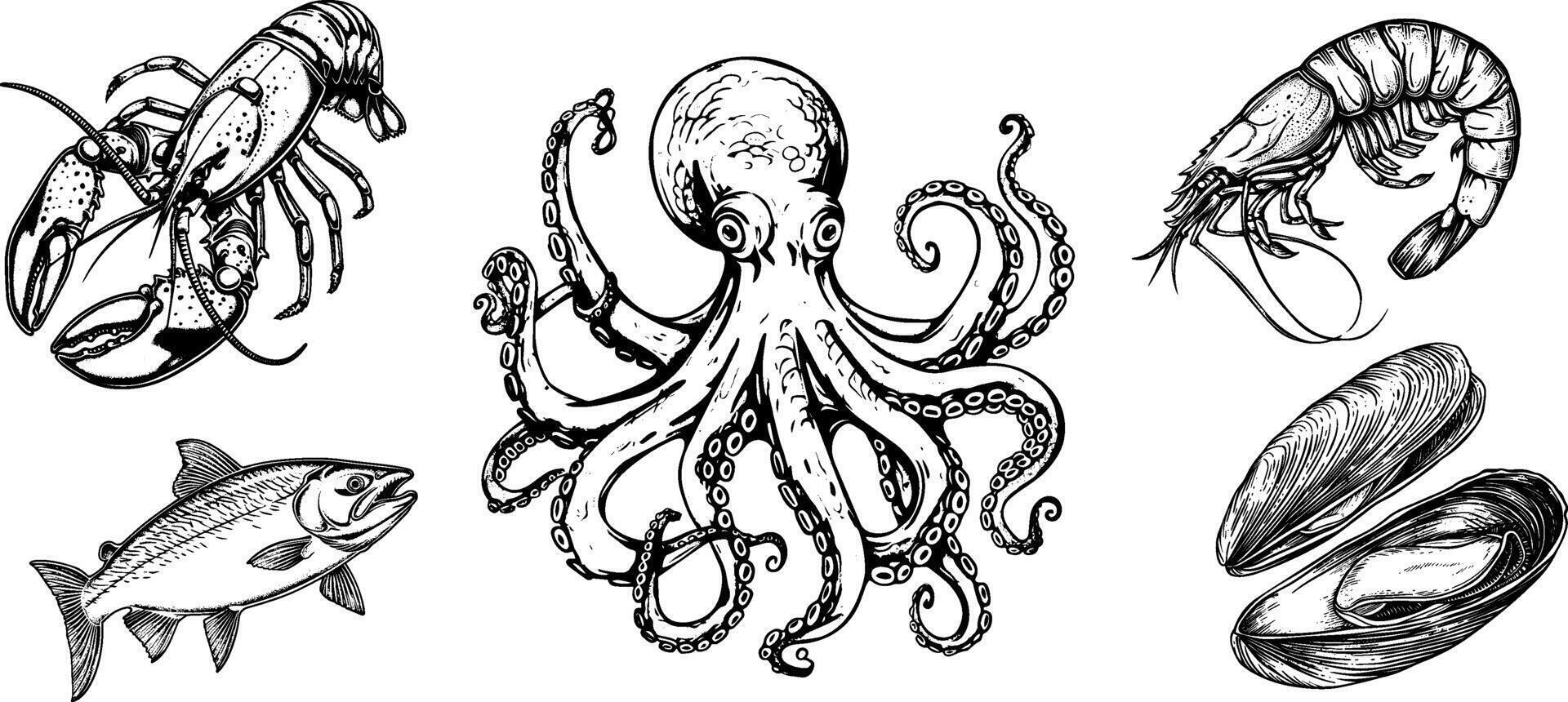 Vintage sketch of marine food including octopus, oyster, mussel, lobster, salmon, and shrimp. vector