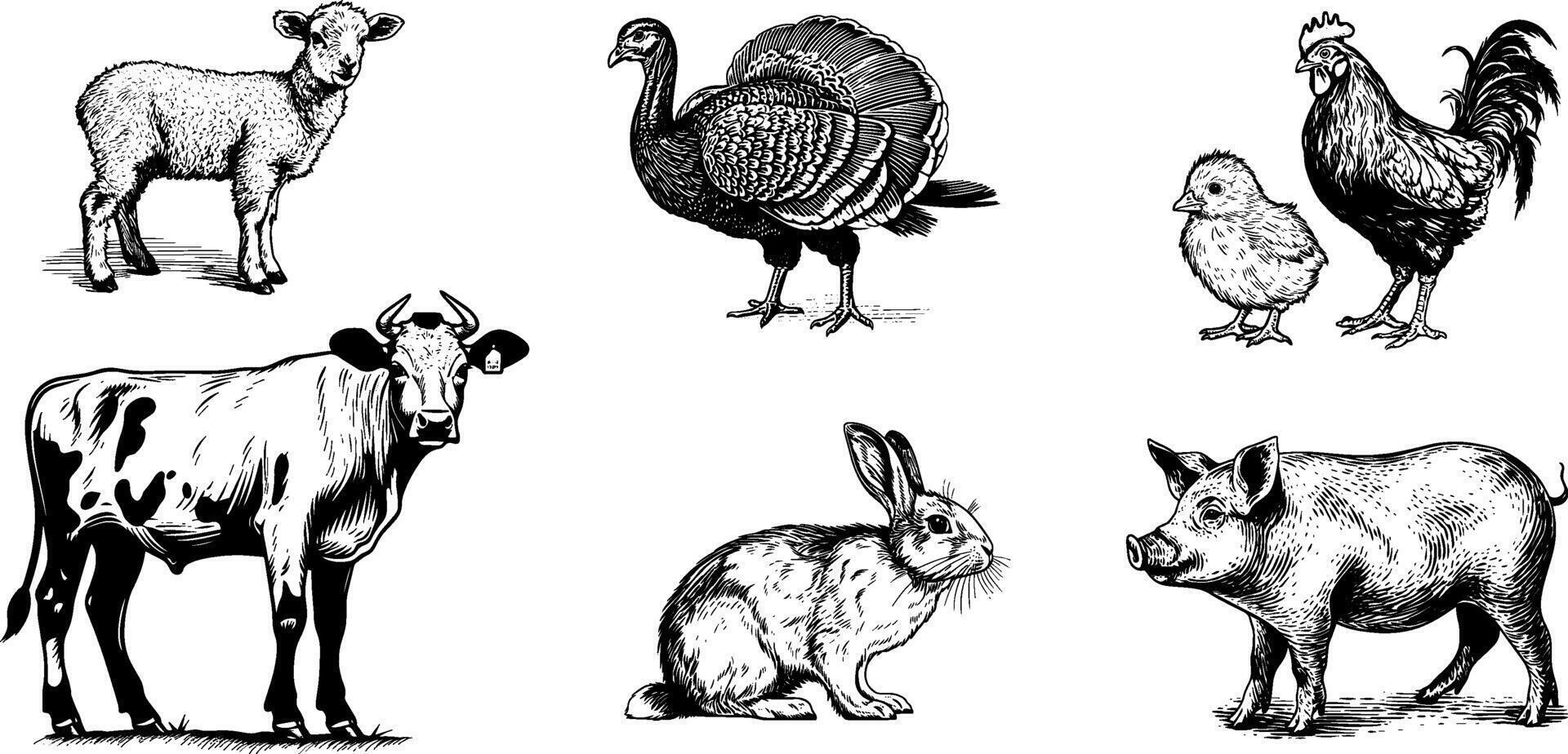 Vintage Farm Animal Sketch Set. Pork, Cow, Pig, Sheep, Rabbit, Turkey, and Chicken Hand-Drawn Illustration, vector