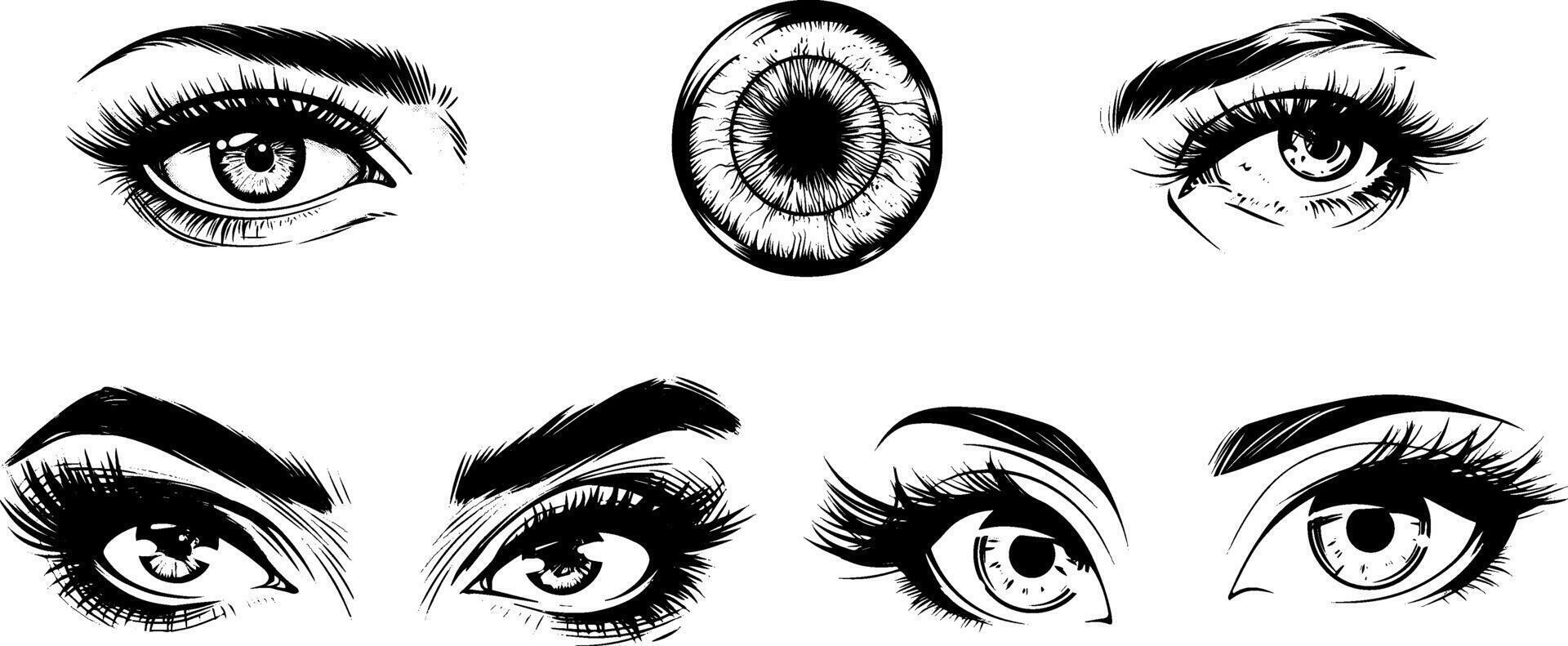 Vintage art of a human eye, featuring detailed woodcut-style illustration of the iris, pupil, and eyelashes. vector