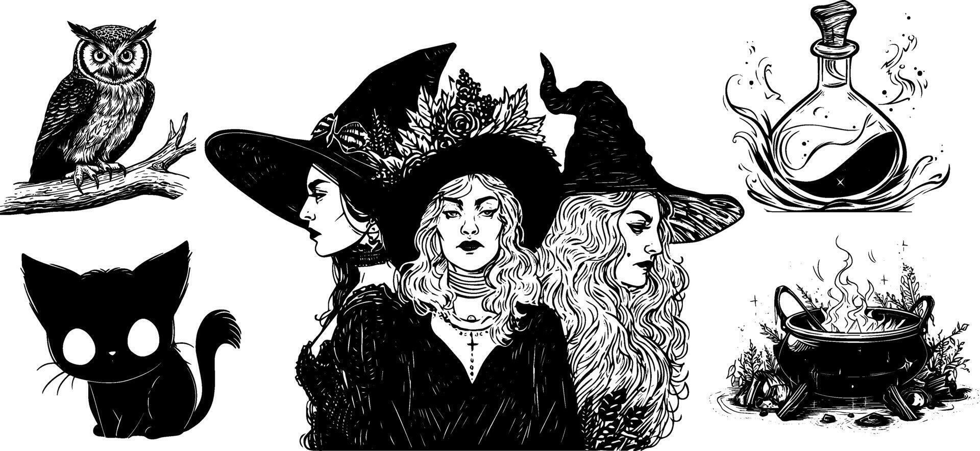 Vintage Halloween Witch Sketch with Owl, Cat, and Magic Elements Including Potion Jar, Skull, and Broom. vector