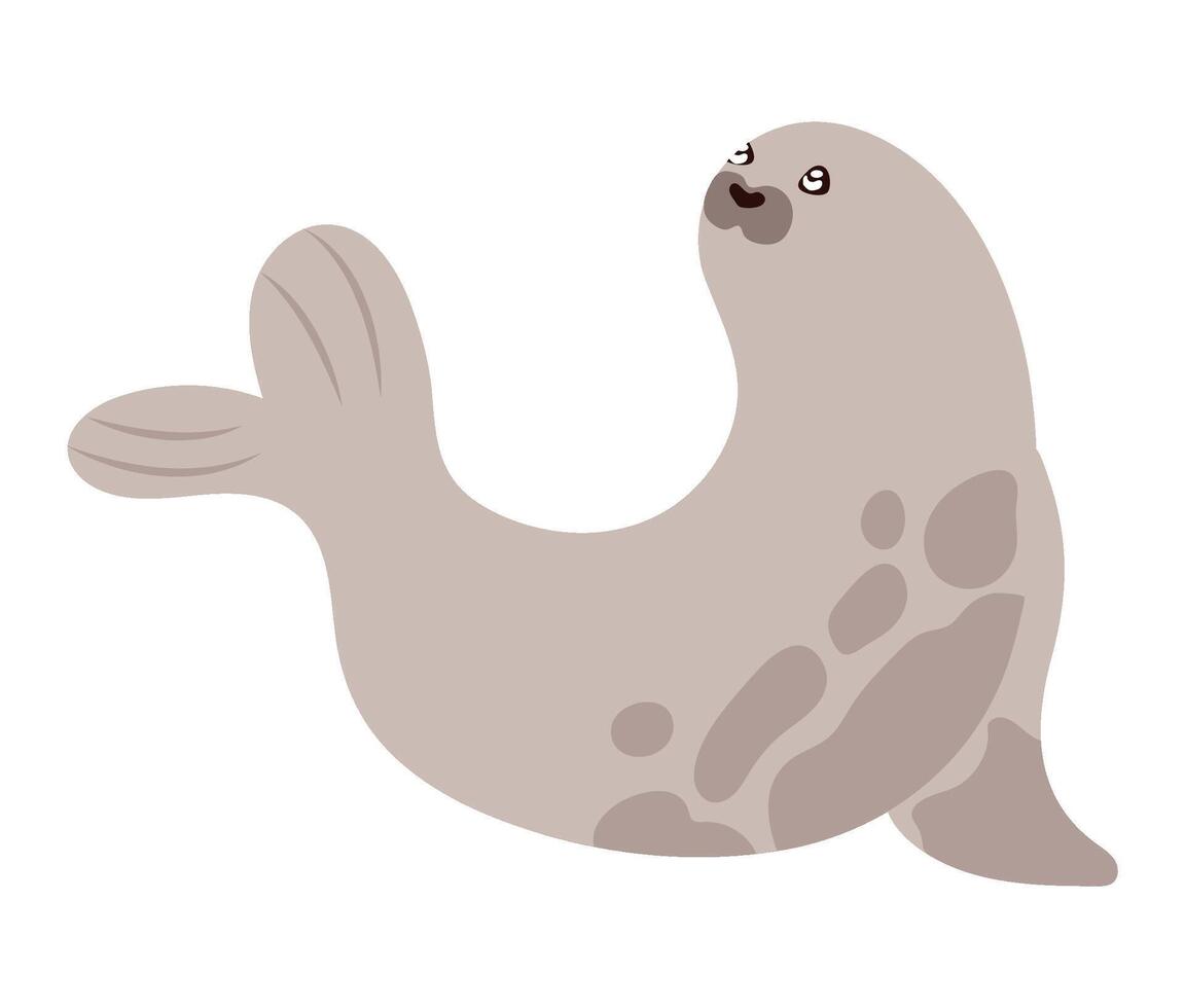artic animal seal isolated icon vector