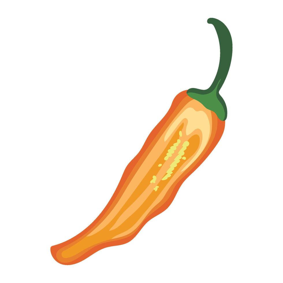 half jalapeno illustration isolated design vector