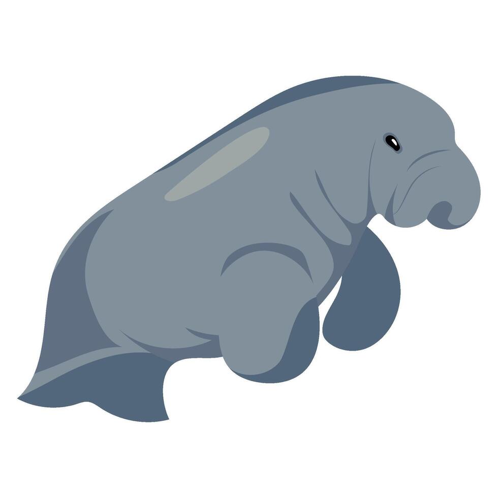 australia animal dugong illustration isolated vector