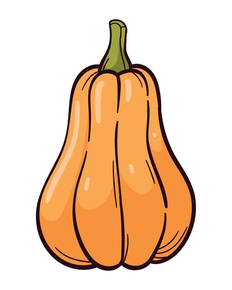 autumn nature fresh pumpkin isolated illustration vector