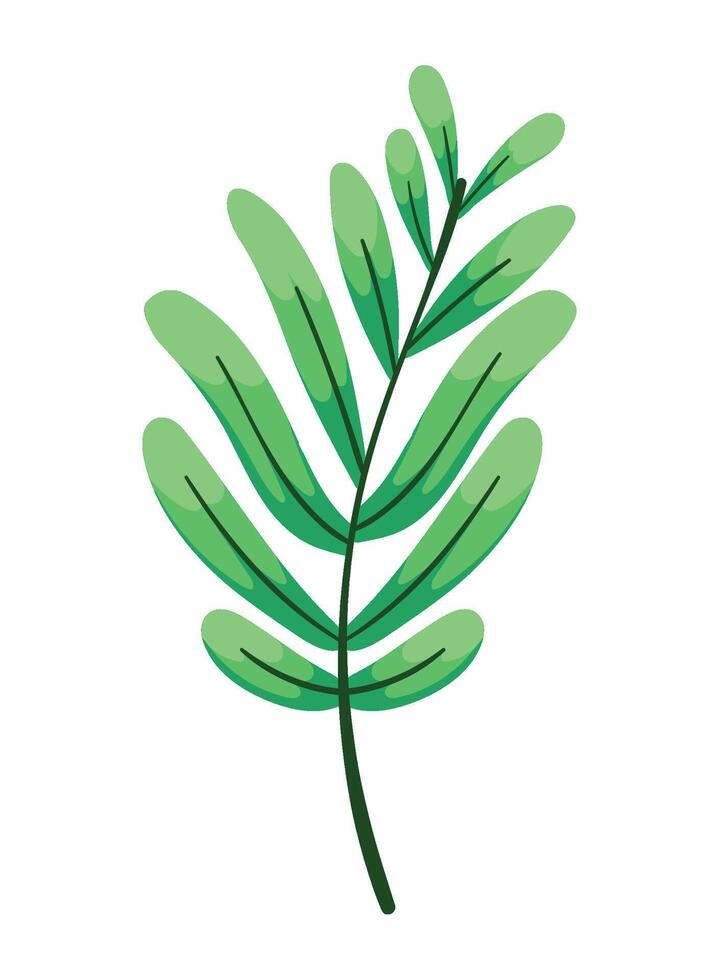 exotic leaf plant isolated icon vector
