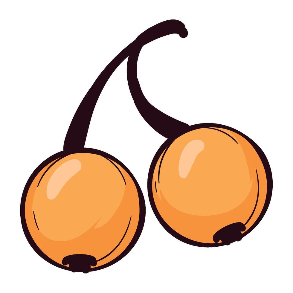 autumn nature fruits isolated illustration vector