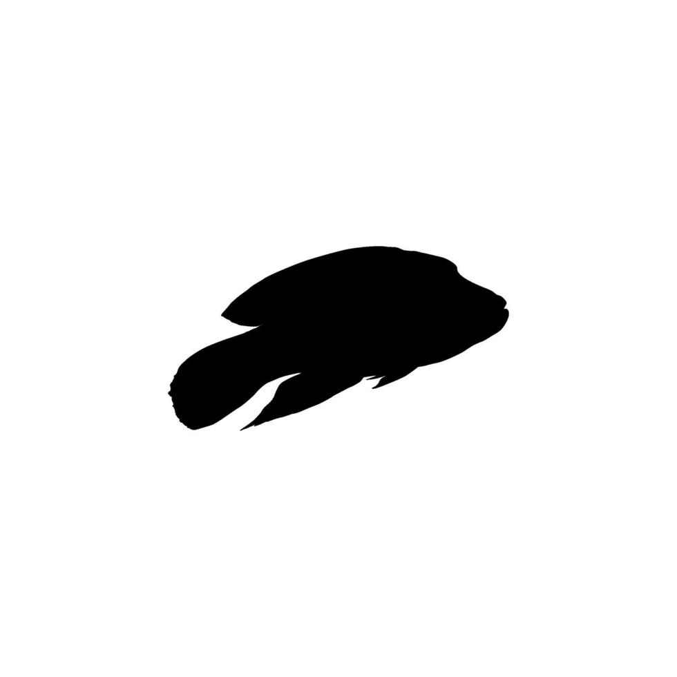 Silhouette of the The Humphead wrasse, Cheilinus undulatus, also known as the Maori wrasse, Napoleon wrasse, Napoleon fish. Flat Style, can use for Logo Gram, Animal Illustration, Pictogram, ect vector