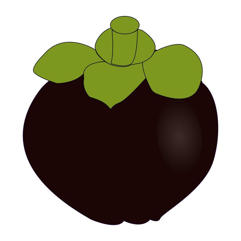 Minimalist Mangosteen Fruit Illustration design, a purple mangosteen fruit with leaves on top, suitable for tropical themed projects, healthy food graphic designs vector