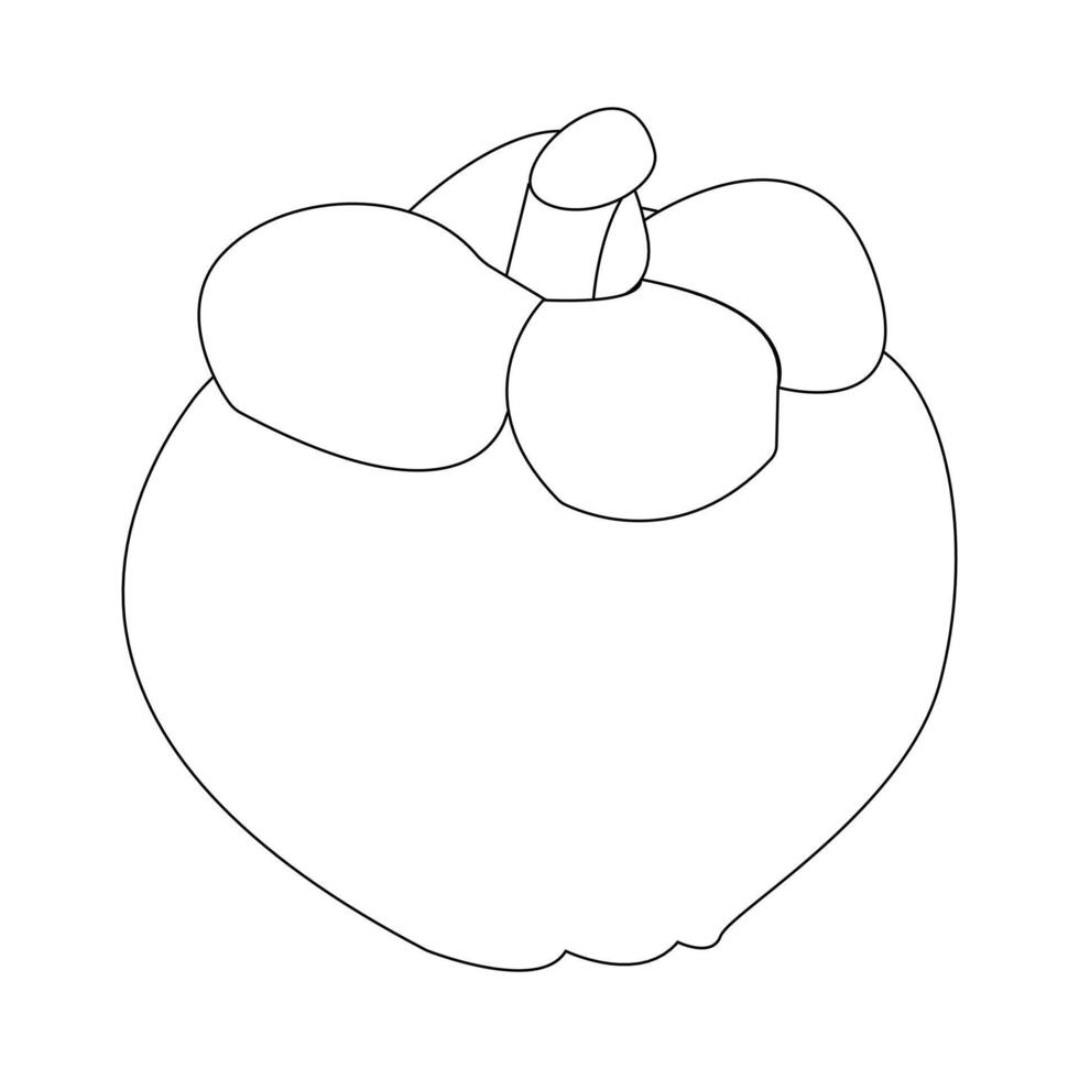 Inside and outside mangosteen drawing vector