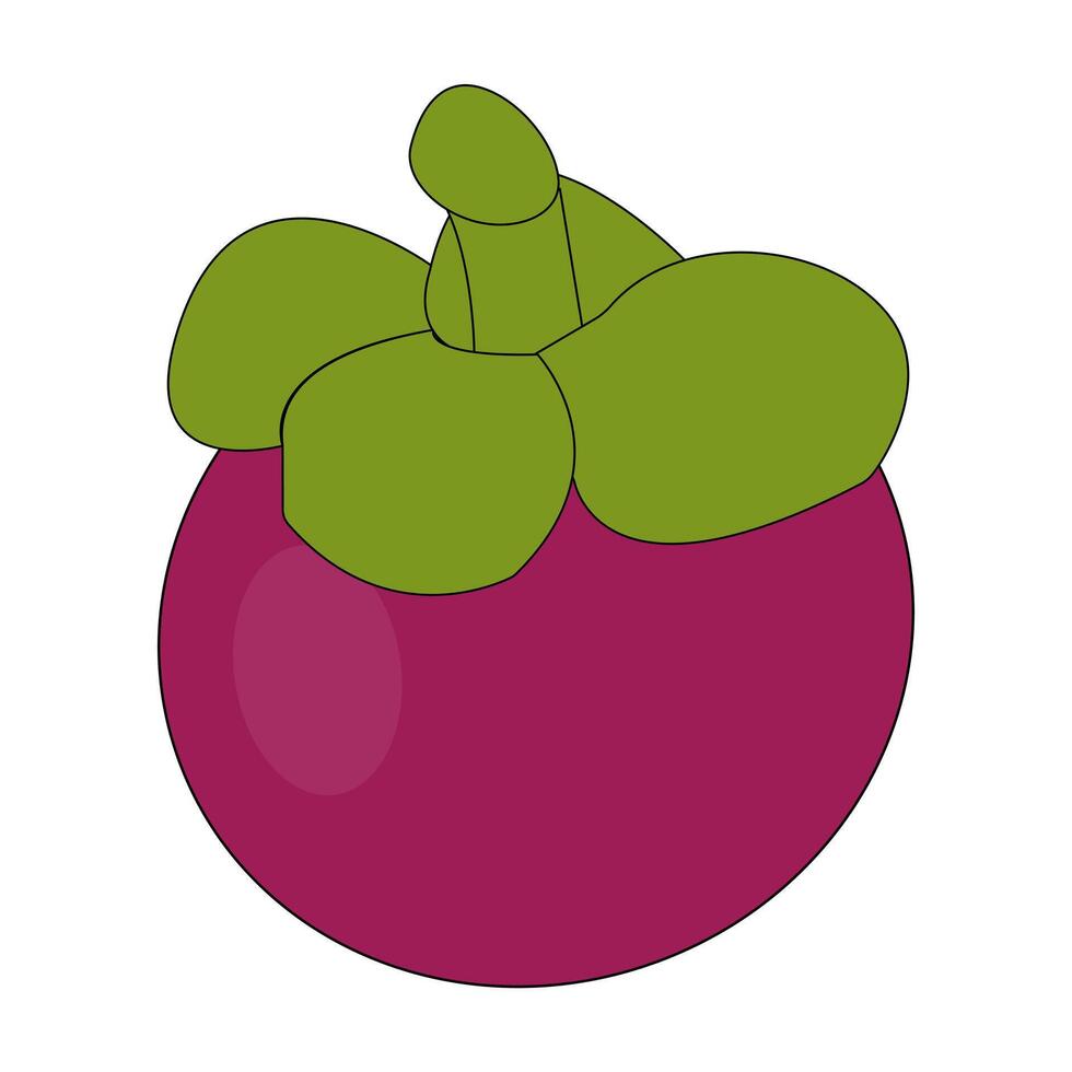 Simple Mangosteen Fruit with Green Leaves vector