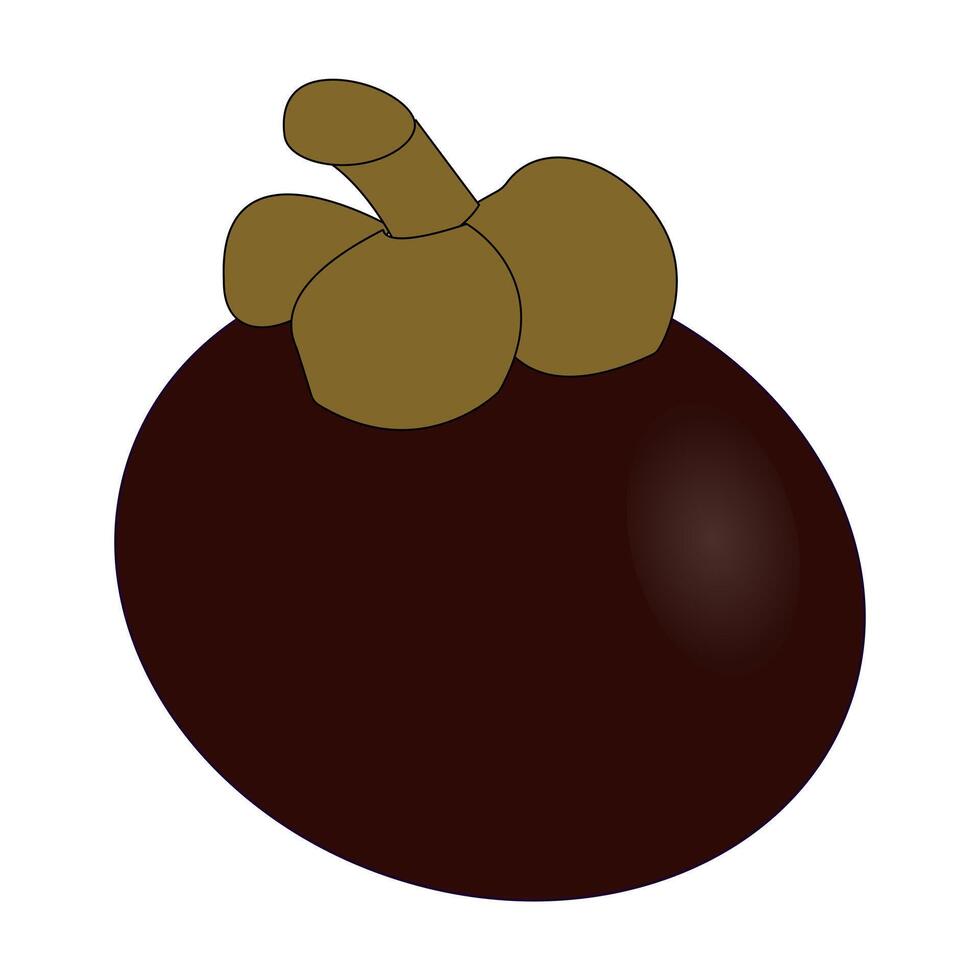 Fresh Mangosteen Fruit design Illustration vector