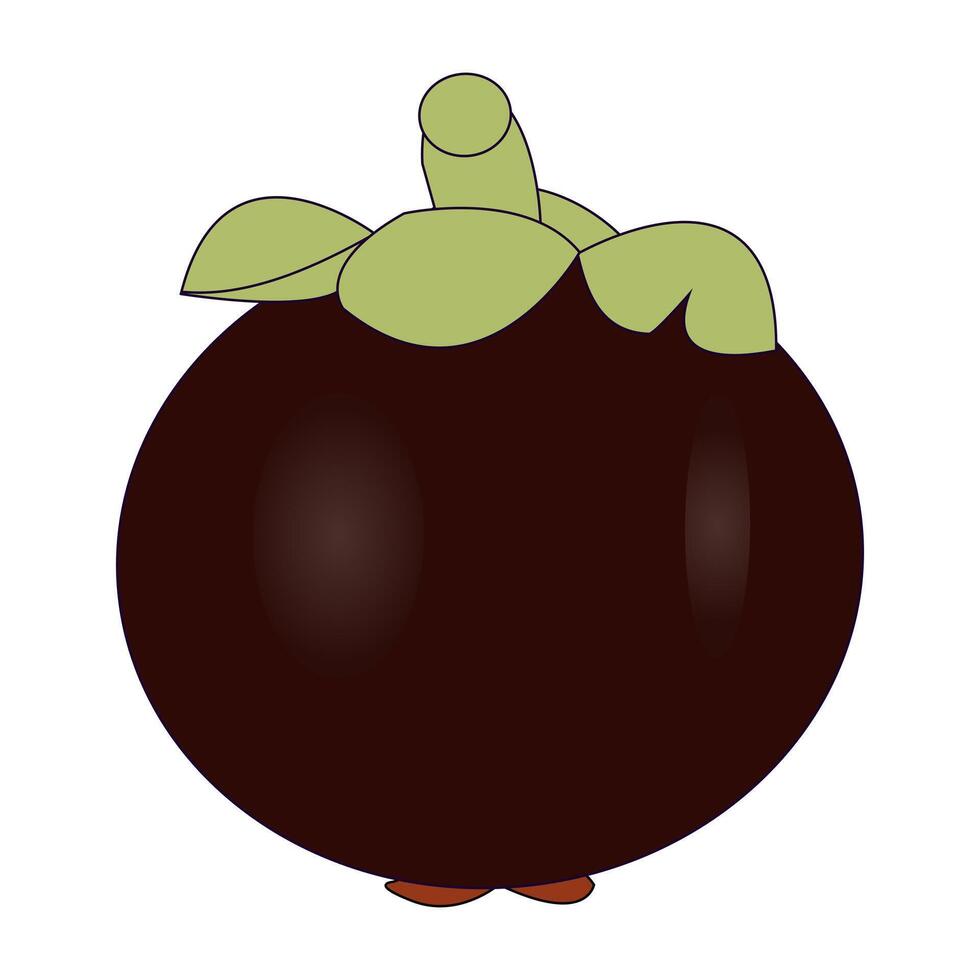 Mangosteen Fruit with Green Leaves Flat Design vector