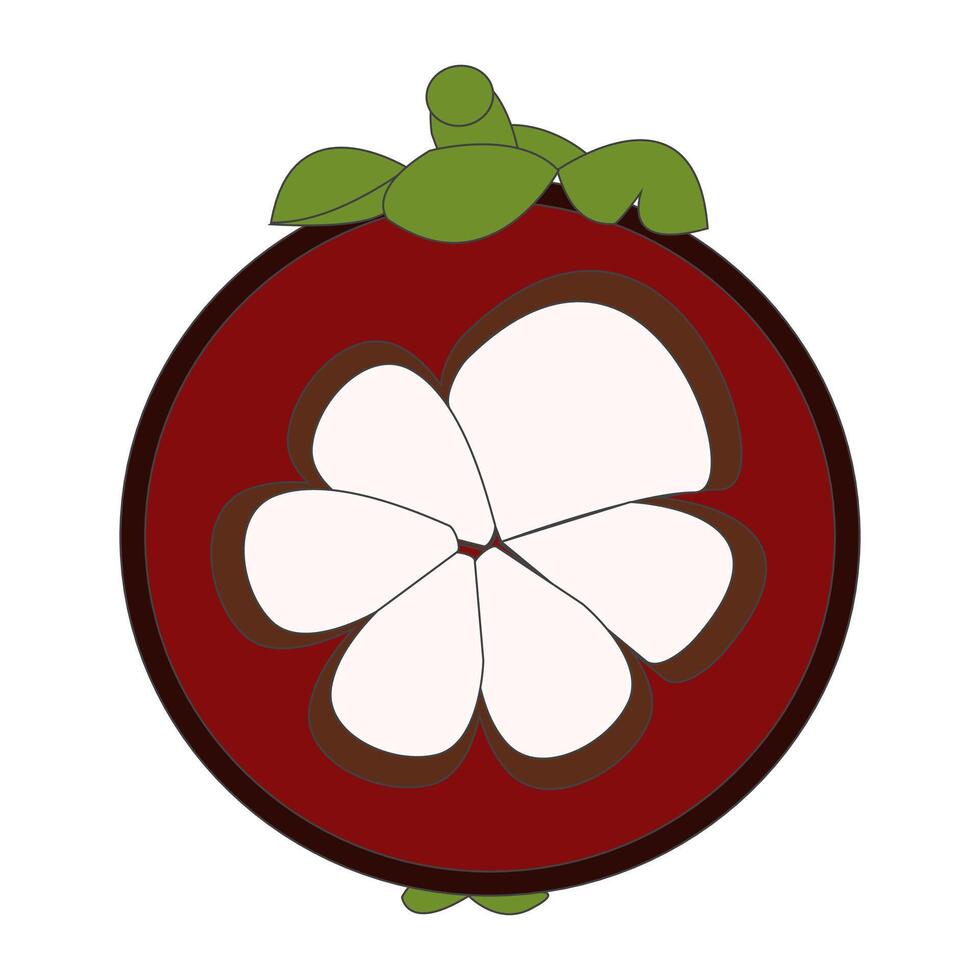 Bold Mangosteen Illustration for Healthy Eating Themes vector