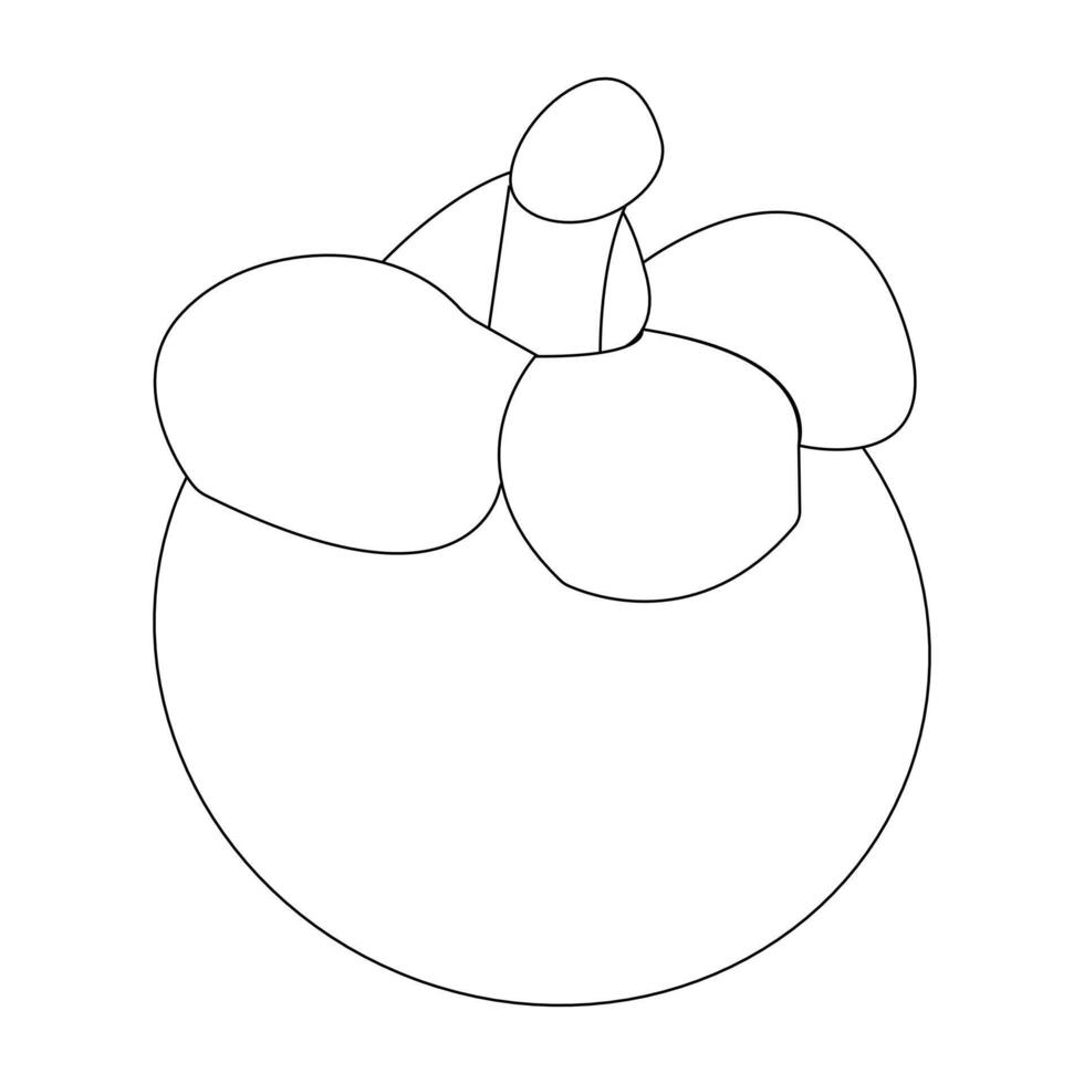 Simple mangosteen design for educational use vector