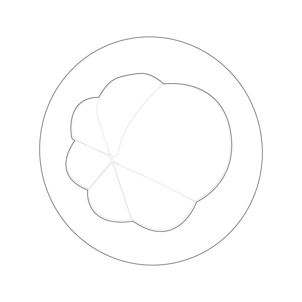 Mangosteen illustration with simple details vector