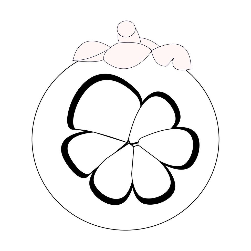 Minimalist black and white mangosteen drawing vector