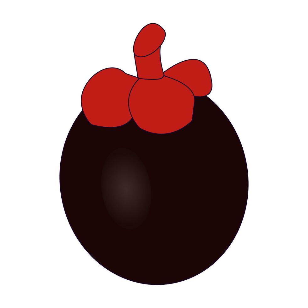 Mangosteen Illustration for Food and Beverage vector