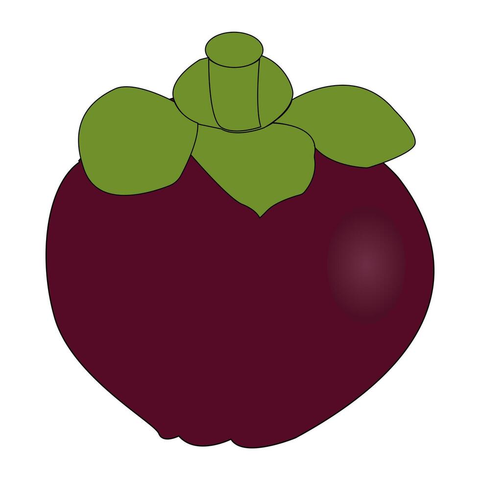 Mangosteen Fruit Design for Tropical Projects vector