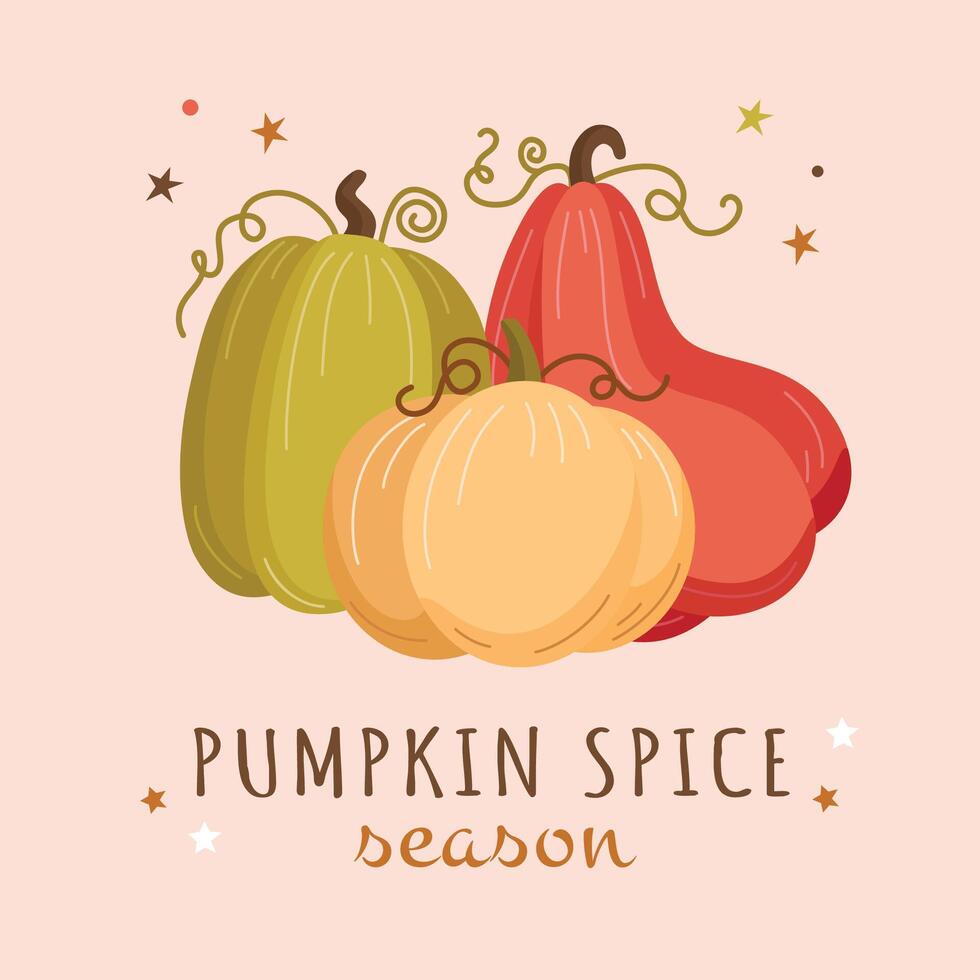 autumn poster with pumpkins and the text Pumpkin Season vector