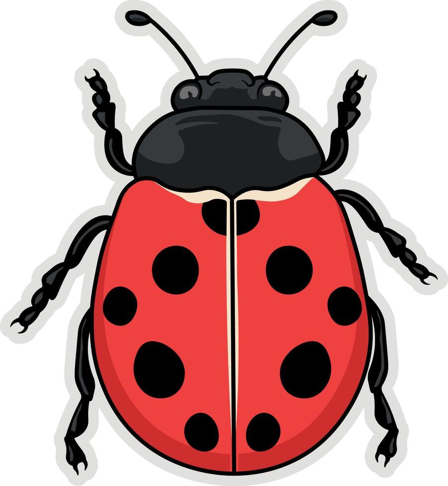 illustration sticker ladybug without background vector