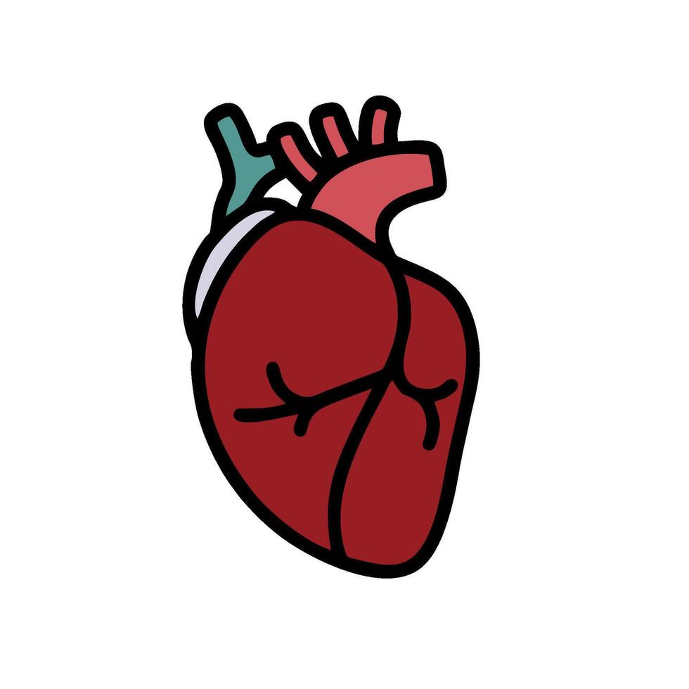 Human heart icon illustration vector