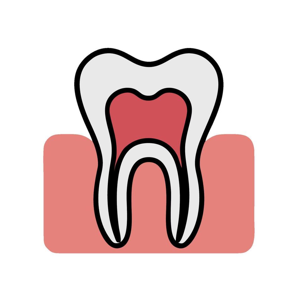 A tooth with a red and white background vector