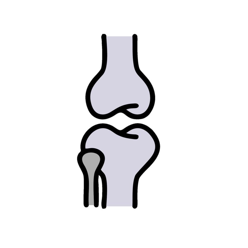 A cartoon illustration of a knee joint vector