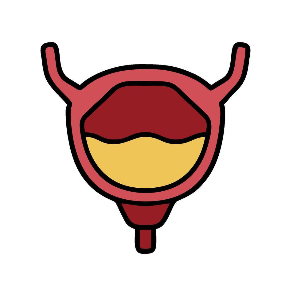 A cartoon illustration of a human bladder vector
