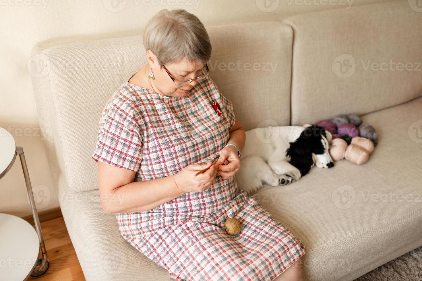 Old woman in glasses crocheting at home with her white dog next to her photo