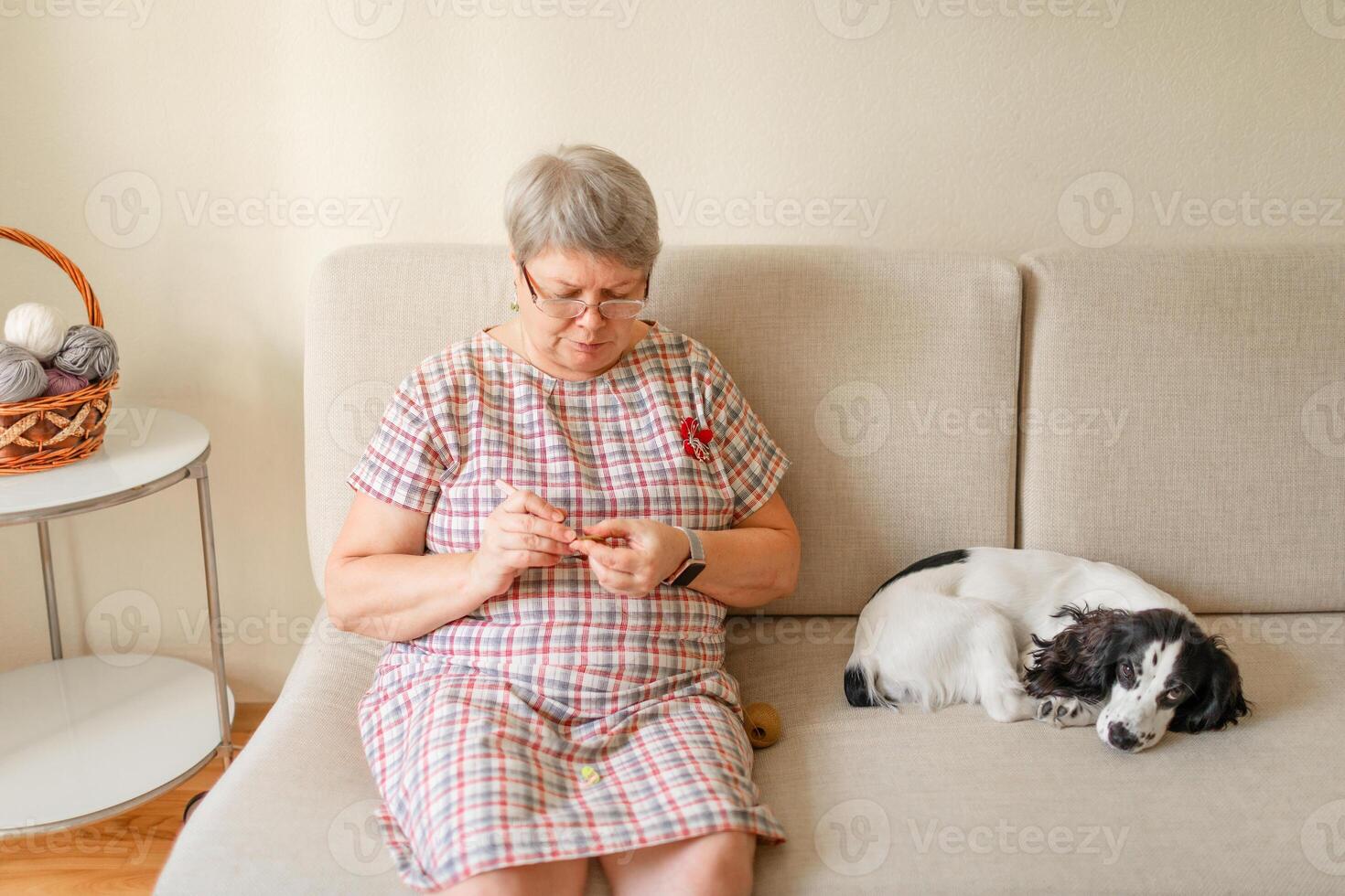 Elderly woman in glasses crocheting at home, a white dog sits beside her photo