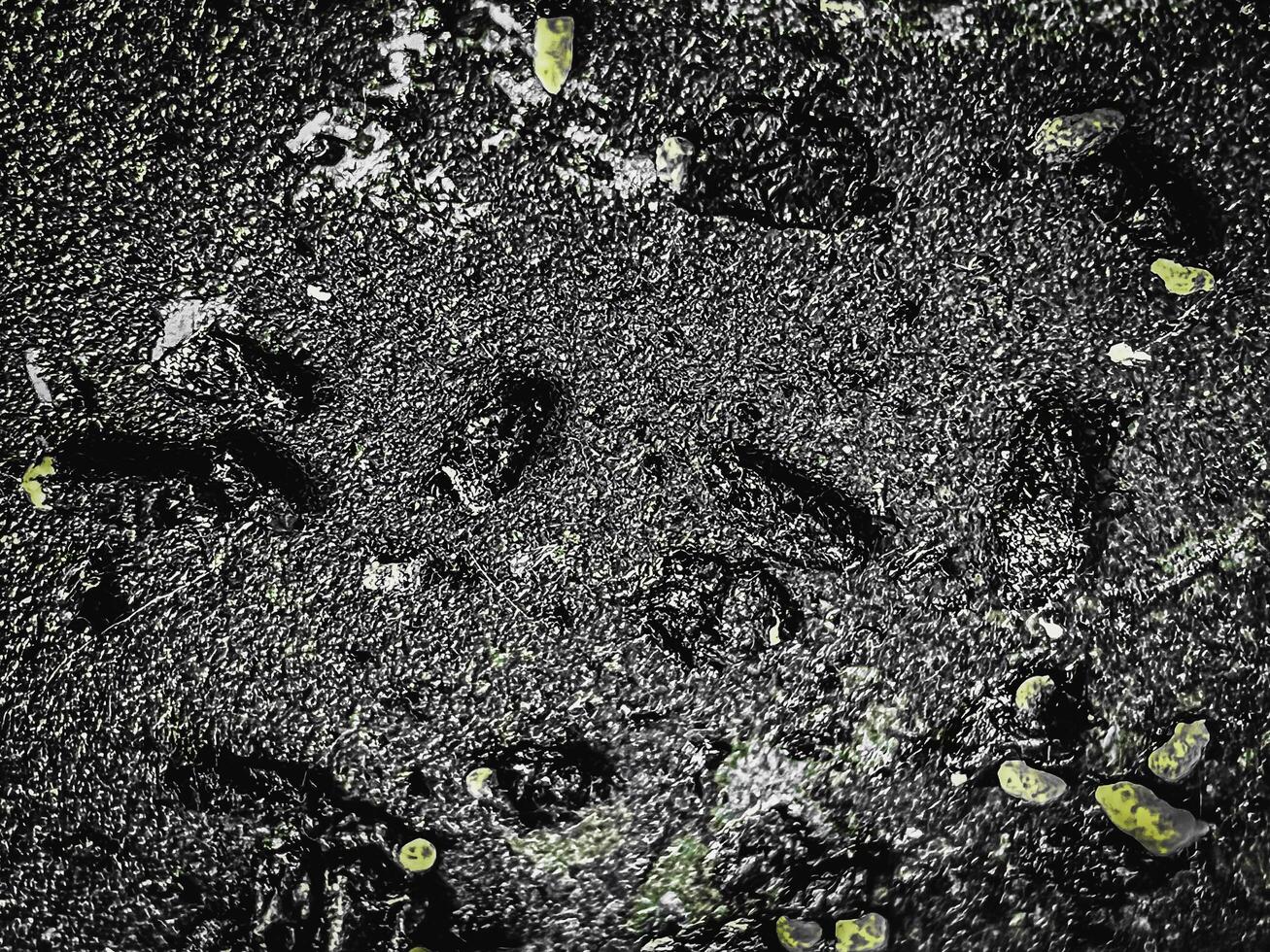 TThe abstract art design background of grunge surface form old and dirty oil photo