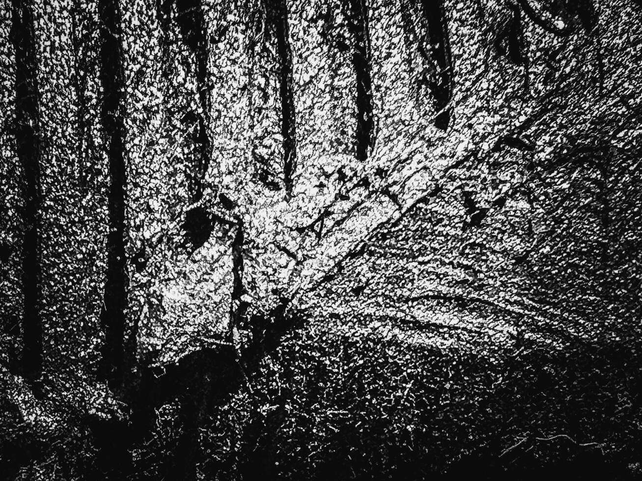 The abstract art design background of grease coated on steel machine, photo