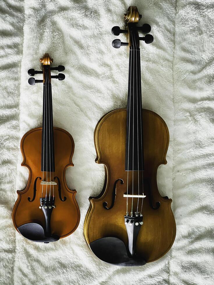 Two different size of violins put on soft cotton cloth, photo
