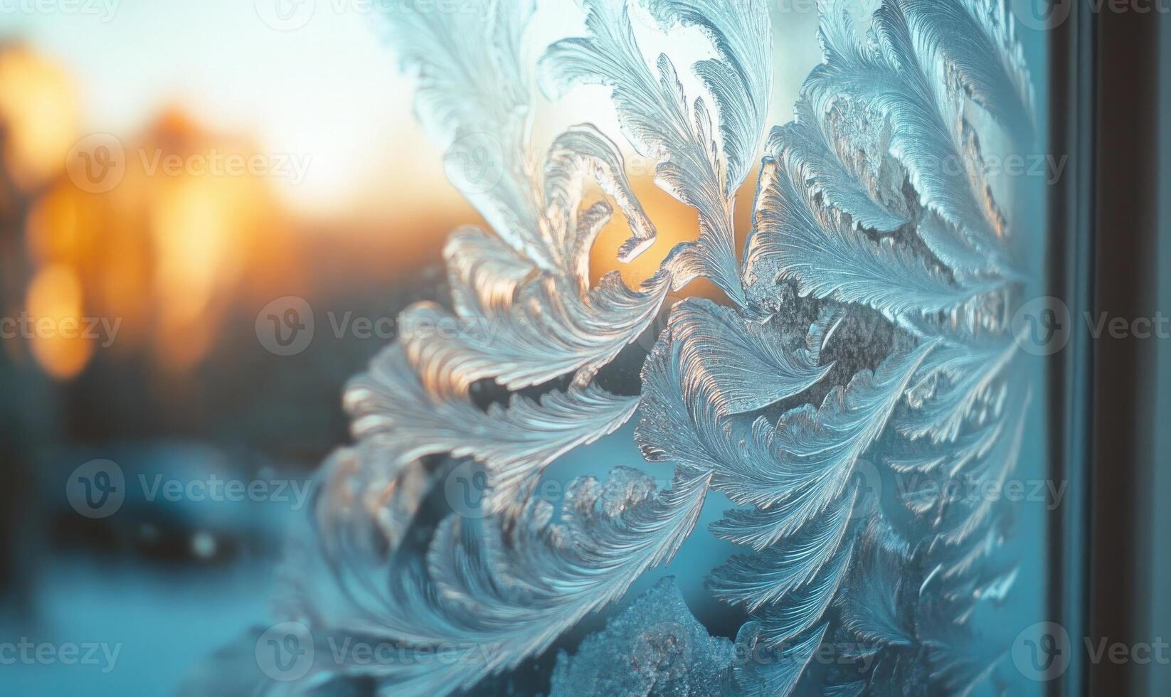 A window with frosted glass and a leafy design photo