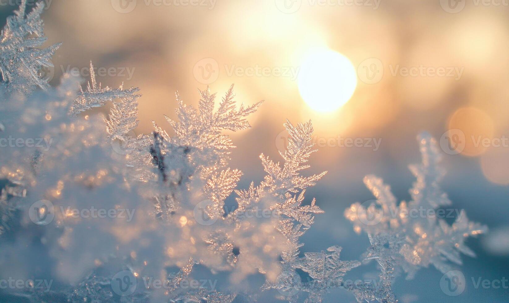 A close up of snowflakes with a bright sun in the background photo