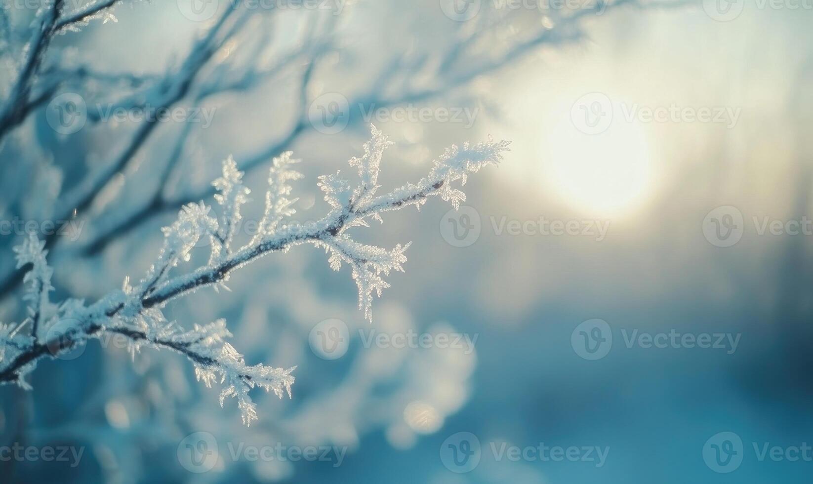 A branch covered in snow and ice photo
