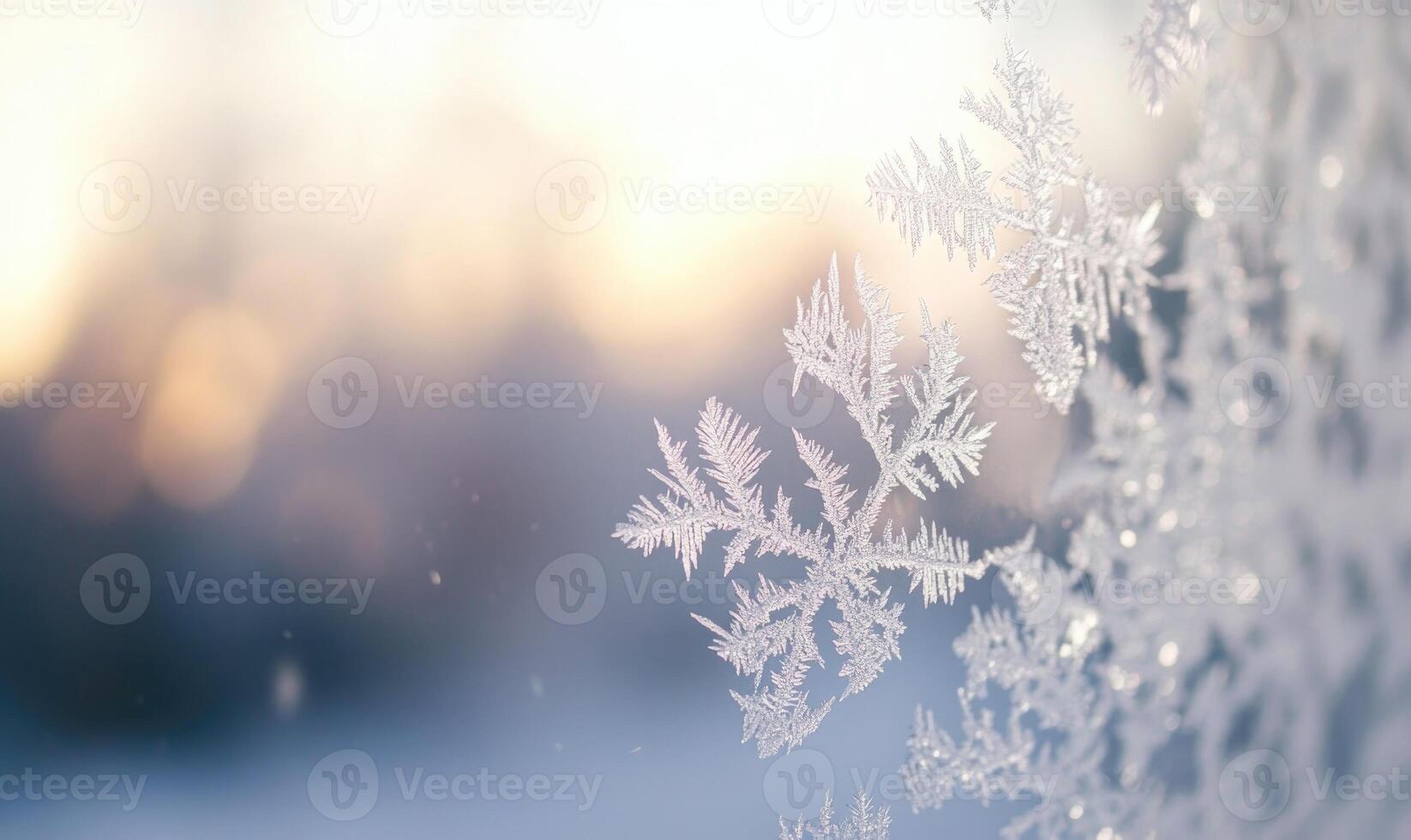 A snowflake is captured in a close up shot photo