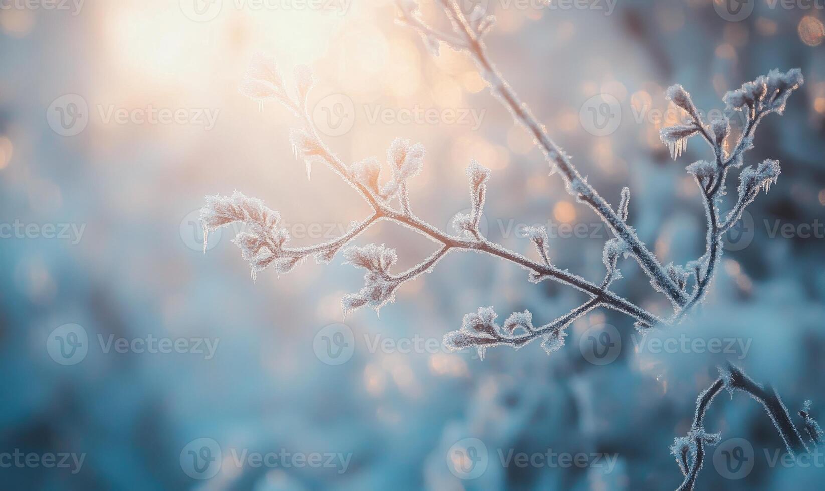 A branch covered in frost and snow photo