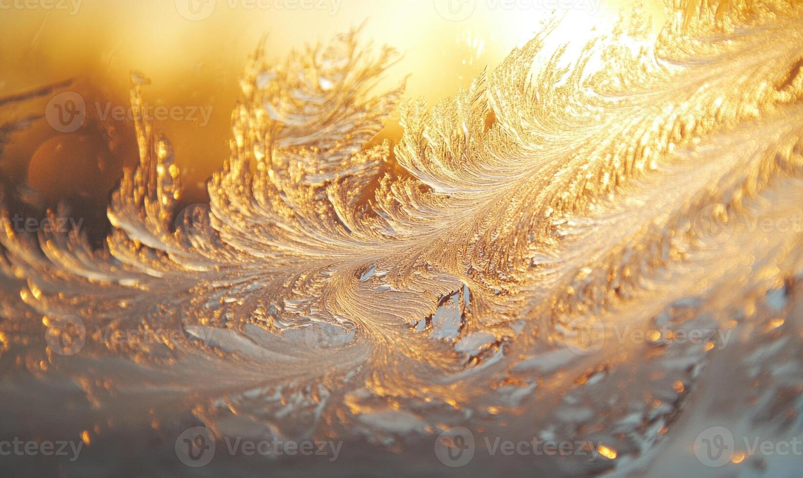 A frosty leafy tree with a sun shining on it photo