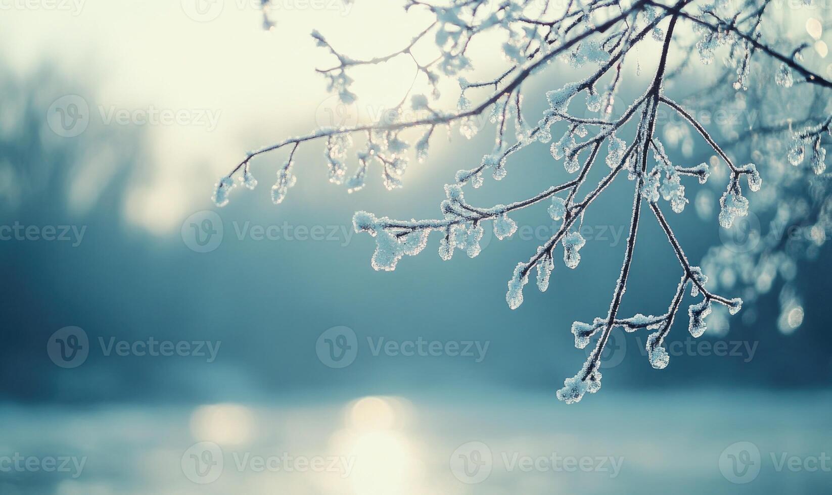 A branch covered in frost and snow photo