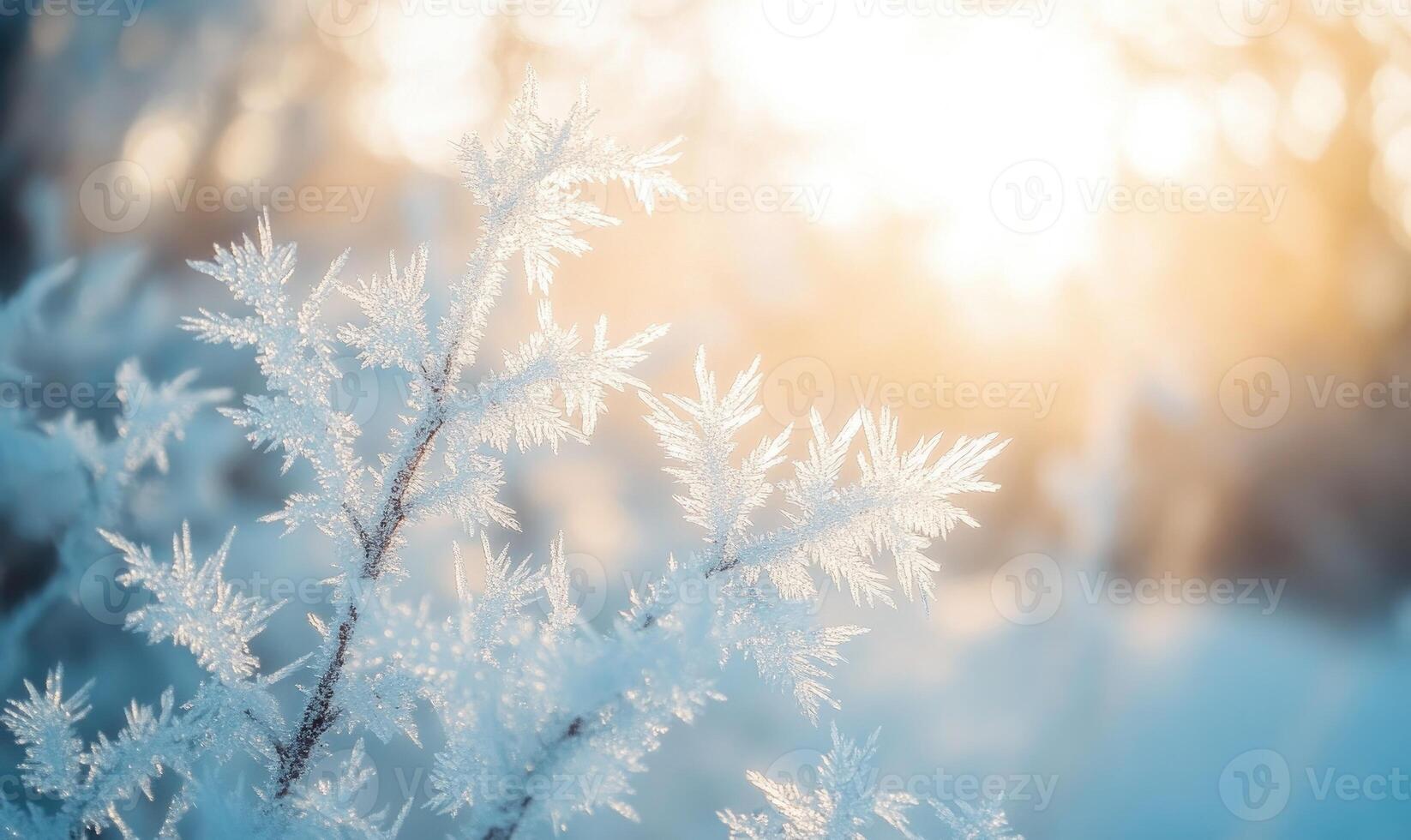 A branch covered in frost and snow photo