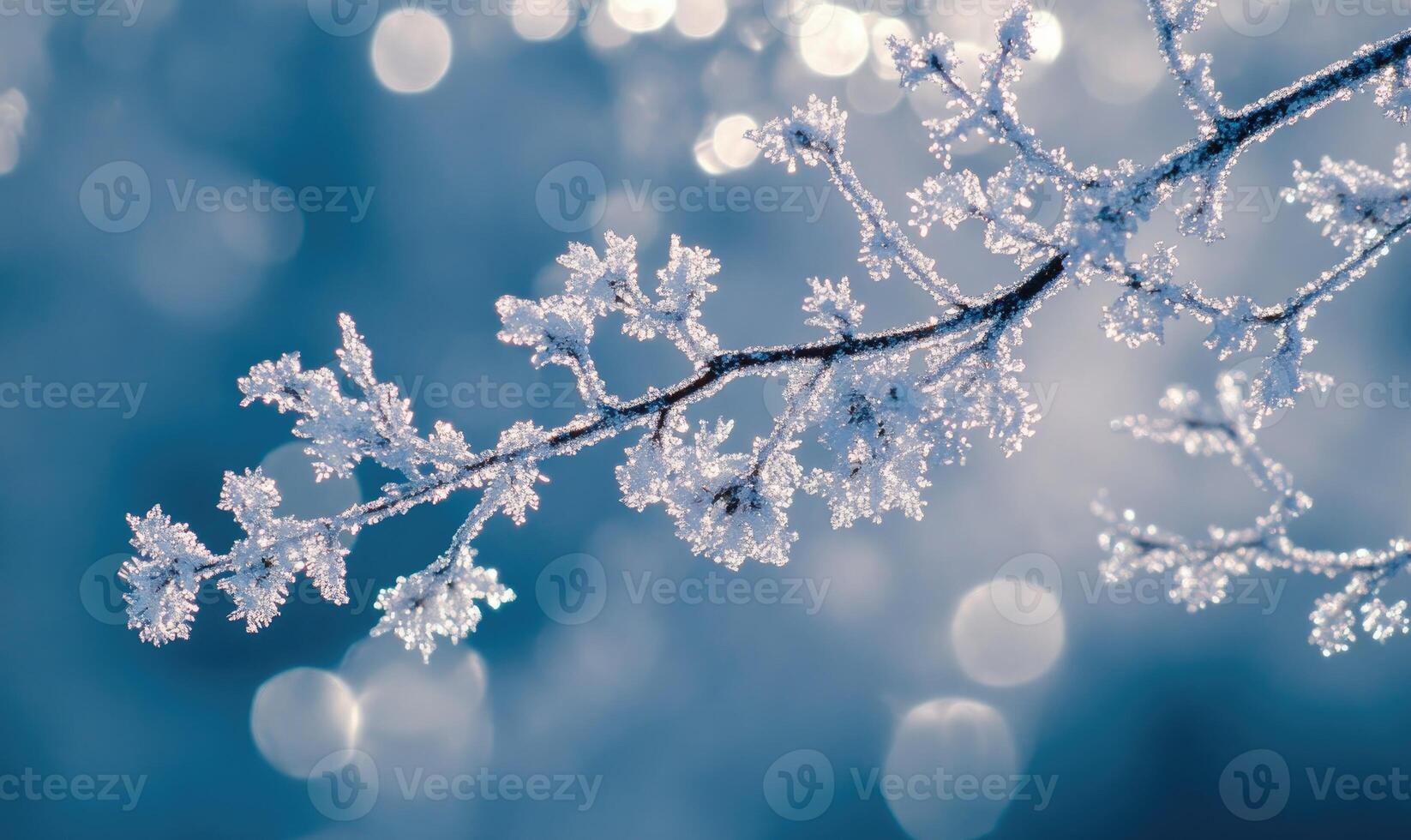 A branch covered in snow with a blue sky in the background photo