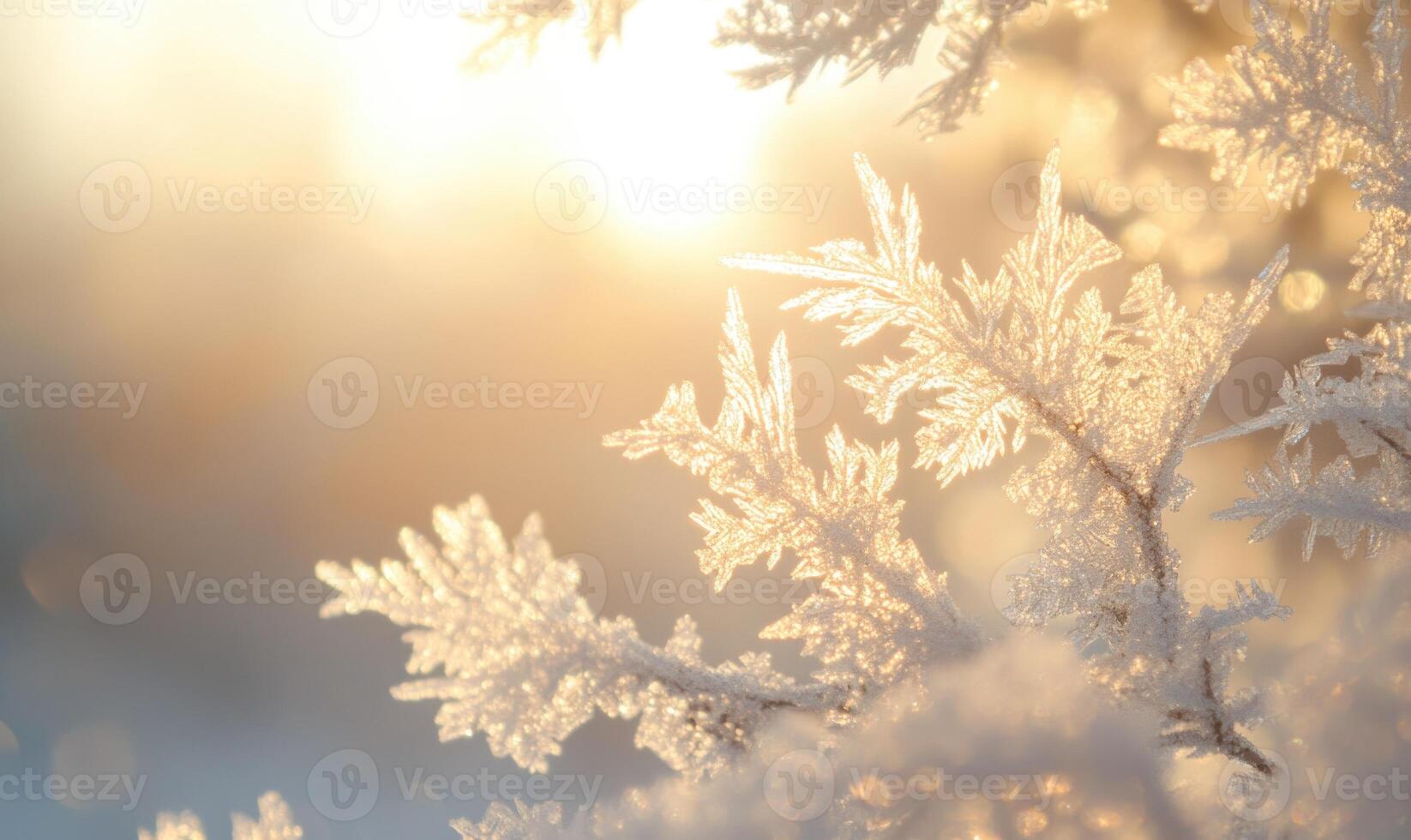A branch covered in frost and snow photo