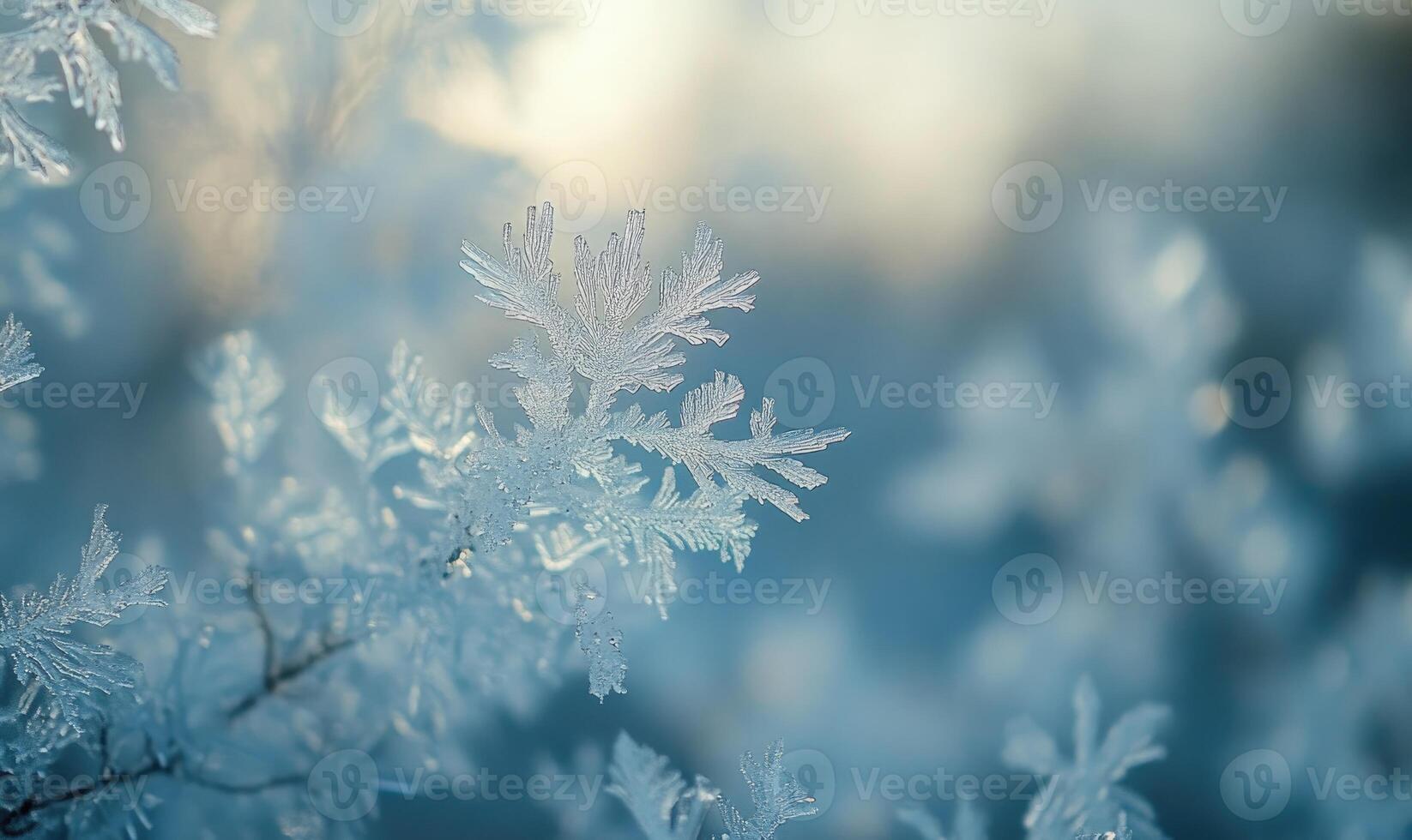 A snowflake is captured in a close up of a branch photo