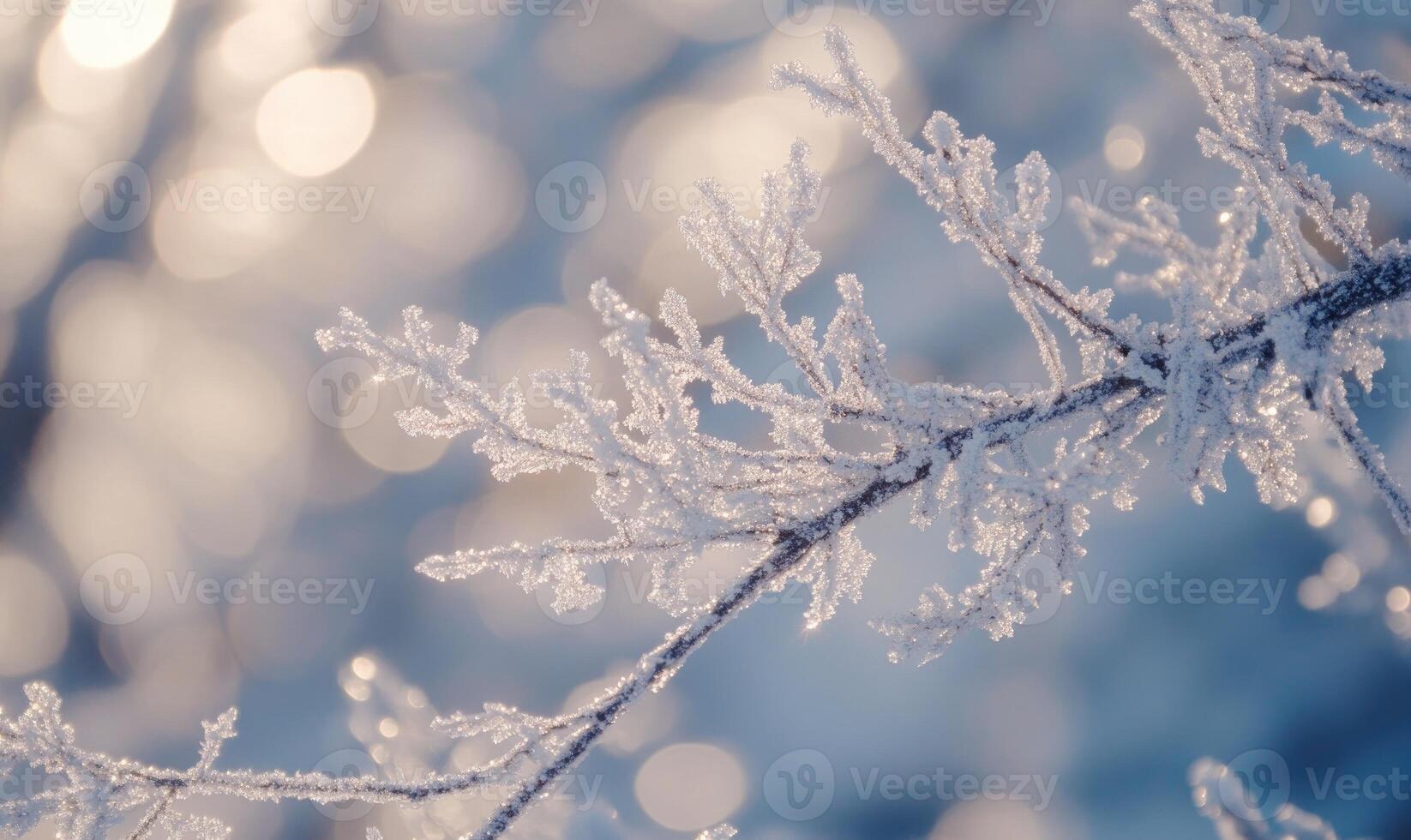 A branch covered in frosty snow photo