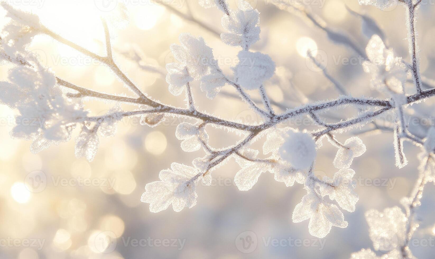 A branch covered in frost and snow photo