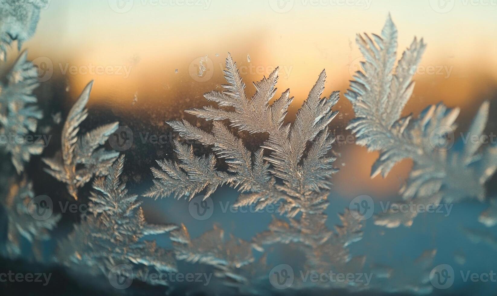 A close up of frosty leaves on a window photo